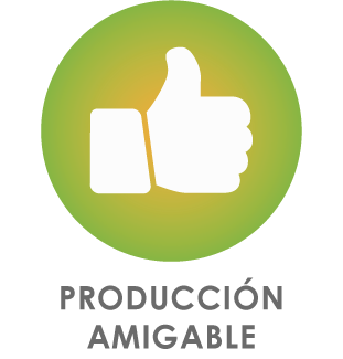 GRAFICASb-13